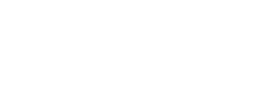 Homiks